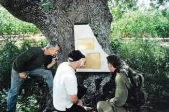 מצבת שיש לזכרו על גזע עץ אלון ליד מקום נפילתו במלכיה