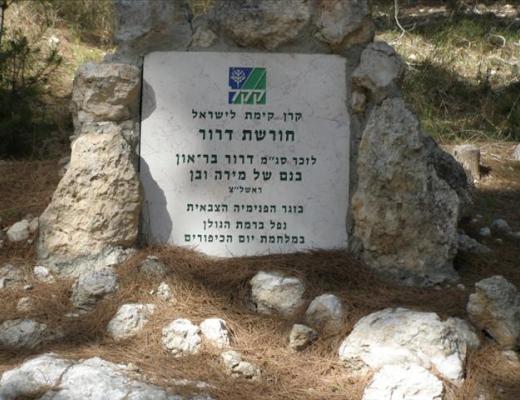 חורשת דרור - יער אשתאול (פארק רבין)
