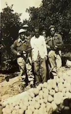נורות