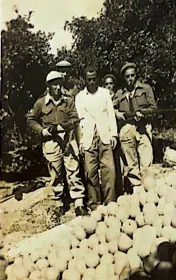 נורות