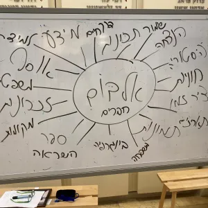 תמונה 14